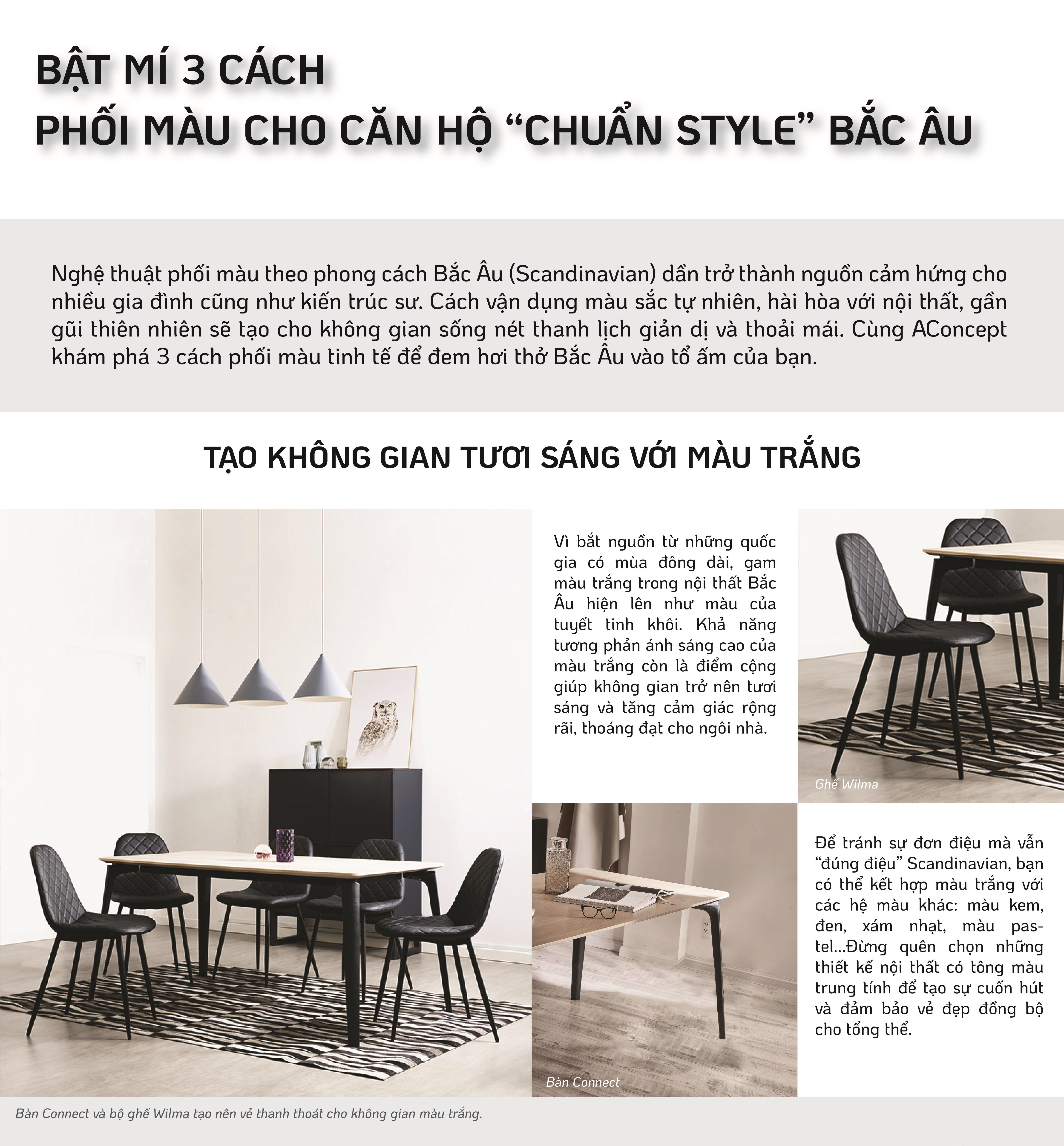 1110-BWEBLANDI NG-T8-web1.jpg